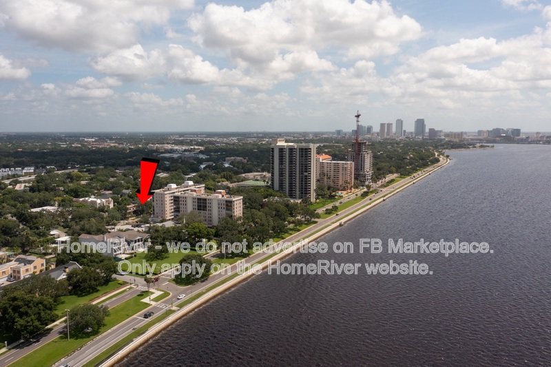 Move In Ready! -  2455 W Palm Dr. Tampa, FL 33629 property image