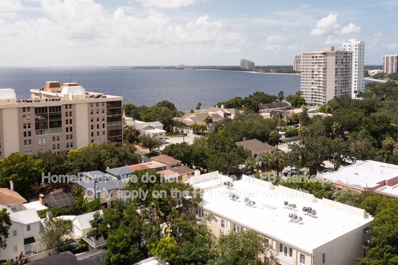 Move In Ready! -  2455 W Palm Dr. Tampa, FL 33629 property image