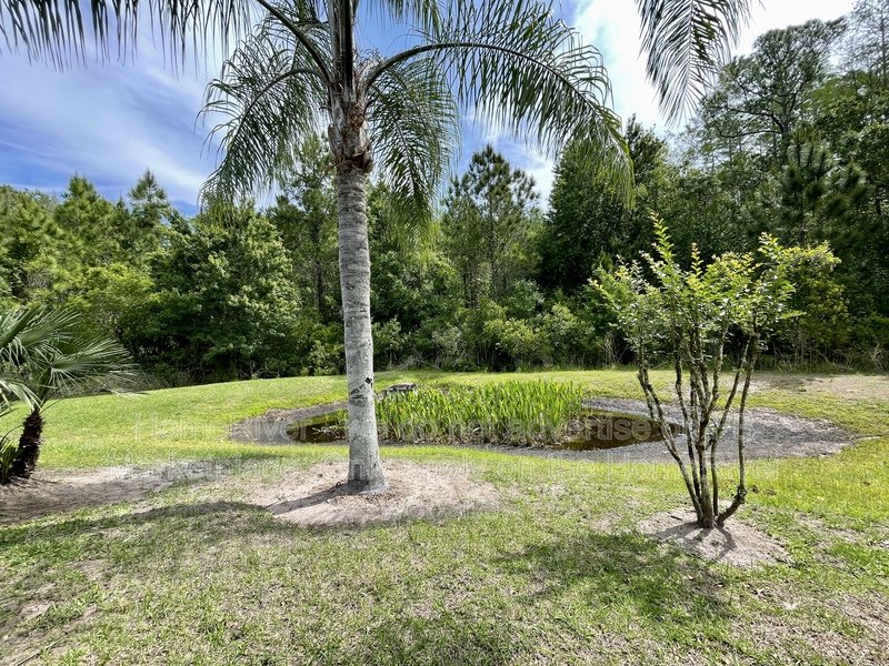 Coming Soon! - 8946 CRYSTAL CREEK CT LAND O LAKES FL 34638 property image