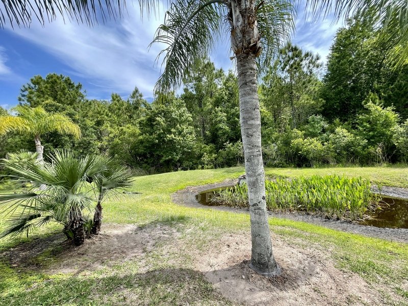 Coming Soon! - 8946 CRYSTAL CREEK CT LAND O LAKES FL 34638 property image