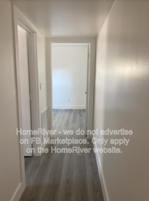 Coming Soon - 4926 Shetland Ave, Tampa property image