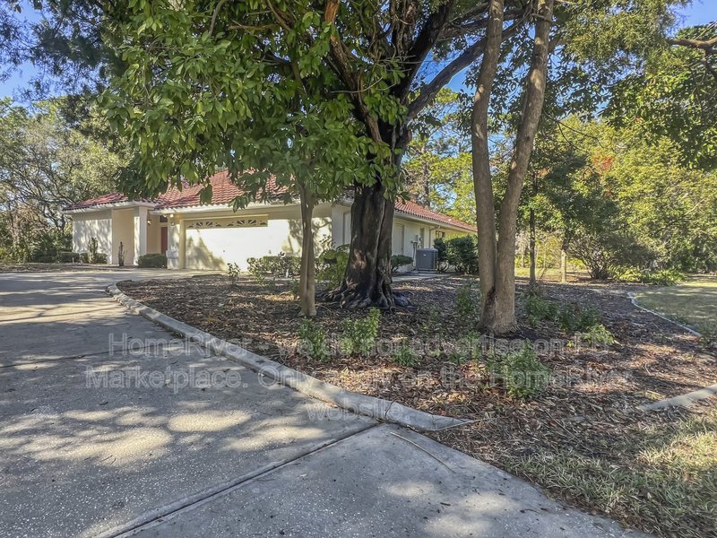 Move-in Ready! 38 Greentree St property image